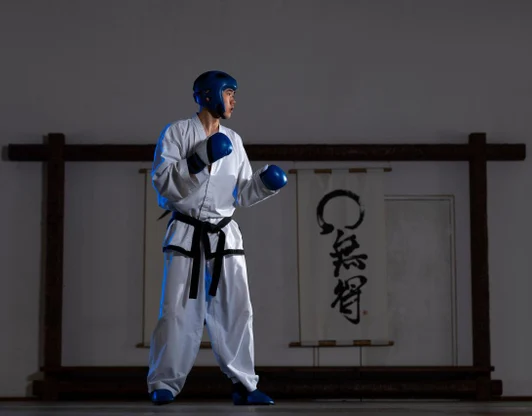 Современное каратэ WKF
